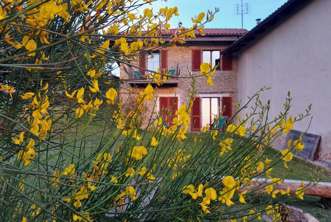 דירות דוליאני Cascina Nomade - Wine & Scenic Retreat מראה חיצוני תמונה